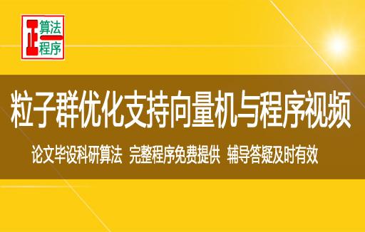 粒子群优化支持向量机多个参数及应用与程序视频学习指导